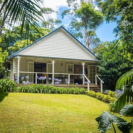 Romantic Cottage, Tamborine Mountain Buitenkant foto
