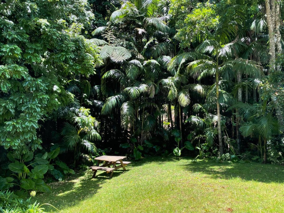 Romantic Cottage, Tamborine Mountain Buitenkant foto