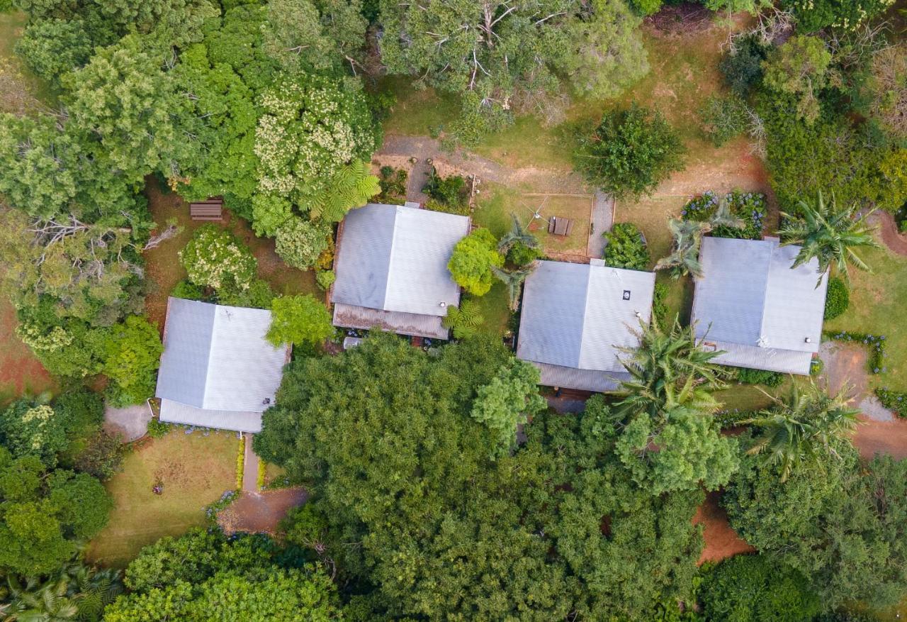 Romantic Cottage, Tamborine Mountain Buitenkant foto