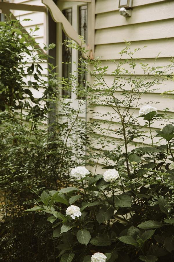 Romantic Cottage, Tamborine Mountain Buitenkant foto